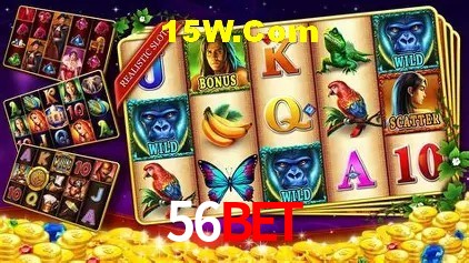 Experimente o Login Seguro Premium no 56Bet